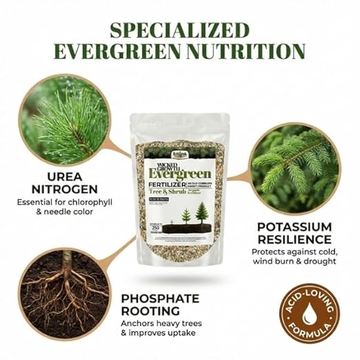 Old Cobblers Farm™ Wicked Growth Evergreen Fertilizer with Iron – Complete Tree &amp Shrub Nutrition for Deep Green Foliage Root Growth &amp Year-Round Health (5 lbs | 10 lbs | 15 lbs | 20 lbs) (15