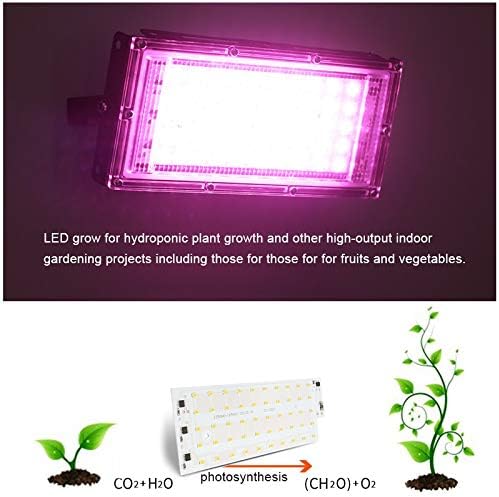 Fengyan Landscape Lights 2Pcs 50W 100W LED Grow Light PhytoLamp AC220V Indoor Full Spectrum LED Plant Grow Lamp LED Outdoor Floodlight Grow Box for Plant LED Street Lamp