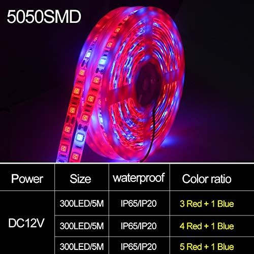 Fengyan Landscape Lights 5pcs LED Grow Light Full Spectrum Strip Phyto Lamp 5 Meters SMD 5050 LED Diode Fitolampy Ribbon for Plant Seeds Hydroponic LED Street Lamp