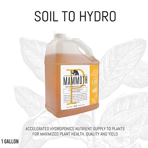 Mammoth P Organic Fertilizer Microbial Inoculants 16% Increase in Yield Maximize Phosphorous and Enhance Plant Health Nutrient Supplement Proven to Grow Bigger Yields - 1 Gallon/4 Liter