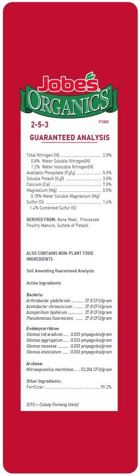 Chapin 2-Gallon 100% Recycled Outdoor/Indoor Watering Can Bundle with Jobe's 4 lbs Organic Vegetable &amp Tomato Fertilizer