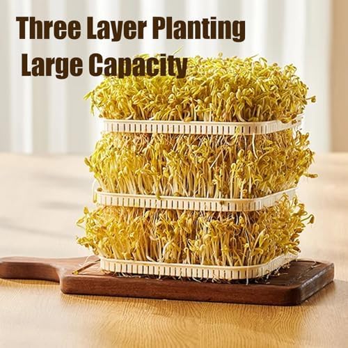Automatic Bean Sprout Machine 3 Layer Home Smart Automatic Sprouting Tray with 1.5l Water Tank Automatic Spray and LED Display Time Sprouting Kit for