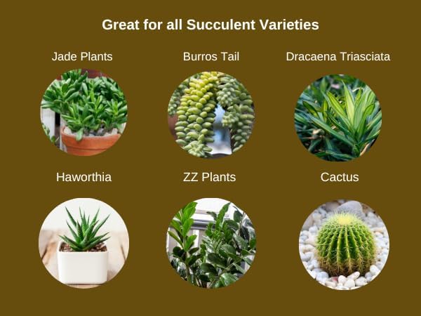 Fertilome Succulent Potting Mix - Fast Draining Versatile Mix with Added Nutrients (4 QT)