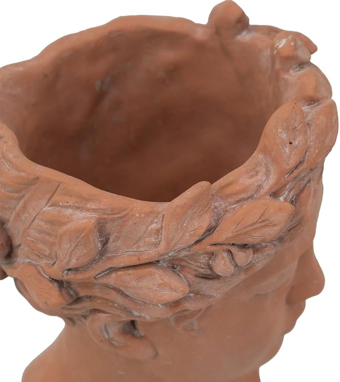 D7x11 Visage Head Bust Planter Brown