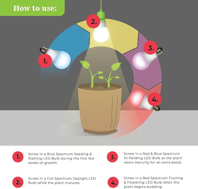 Miracle LED Classroom Gardener Clamp-on LED Grow Light Kit with Sproutmatic Timer Controls 4-Pack (Count of 1)
