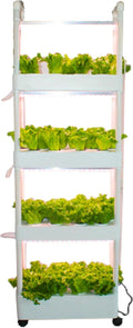 Hydroponics GardenIndoor Vertical Farming Garden Planter Smart Herb Garden with Timing Plug Automatic Watering for Home Indoor Gardening System(with Light4 Layer)