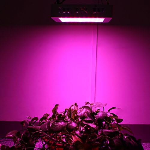 4pcs 1200w Newest led Plant Grow Light Waterproof led Grow Lights for Medical Plants with Independent Switch for Growing and Flowering Period (1200w 4pcs)