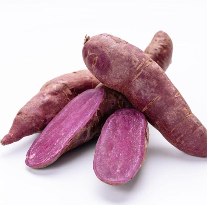 3 Potted Purple Sweet Potato Vine Live Plants for Planting Outdoors Well Rooted High Yield Purple Sweet Potato