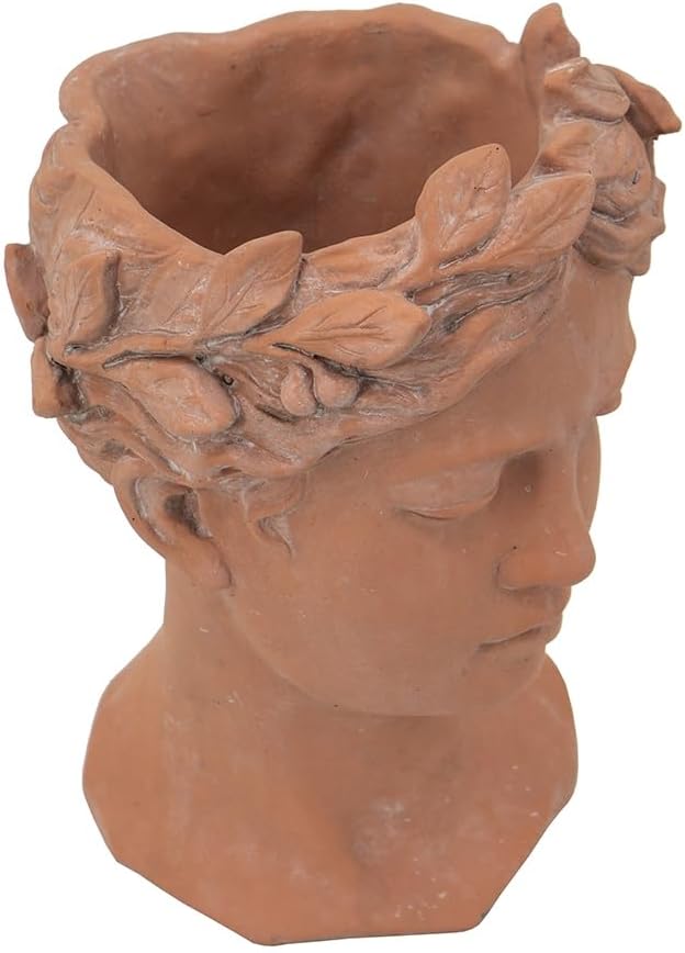 D7x11 Visage Head Bust Planter Brown