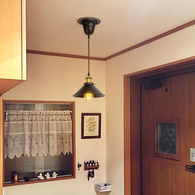 2 Pcs Ceiling Lights Conversion Pendant Light E26 Base Connections Adjusted Wire Length Full Spectrum 10W 4500K Natural Warm Light Plant Lighting for Indoor Growing