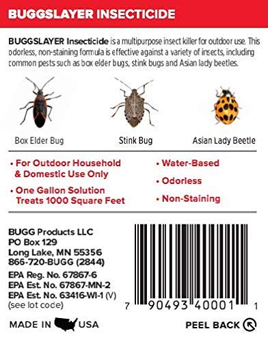BUGGSLAYER Insecticide - Concentrate - Outdoor Box Elder Bugs Stink Bugs Asian Lady Beetles - 16 oz Bottle