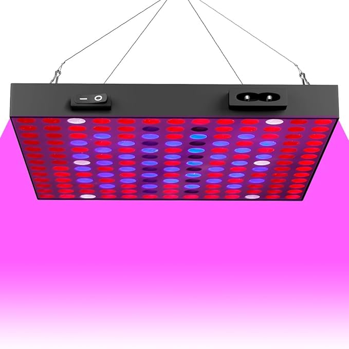 200W LED Full Spectrum100-277V Indoor Planting Seedling Cultivation Red and Blue Light 169LEDs Greenhouse Tent Fruit Fill Lighting Hydroponic Flower Moss Potted Cactus Lights US Plug with Hook Hanging