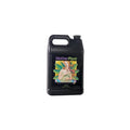 Hydrodynamics Mother Plant A