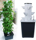 Aeroponics Growing Kit - Complete Hydroponic System with Hydrating Pump Timer &amp Net Pots for Growing Fresh Herbs Fruits &amp Vegetables at Home