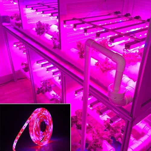Fengyan Landscape Lights Full Spectrum LED Grow Lights 5 Meters LED Grow Strip Lights SMD 5050 300 LEDs Fitolampy Bulb DC 12V for Plants Seeds Growing LED Street Lamp