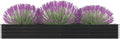 YAFF Garden Raised Bed Galvanized Steel 126x15.7x17.7 Anthracite