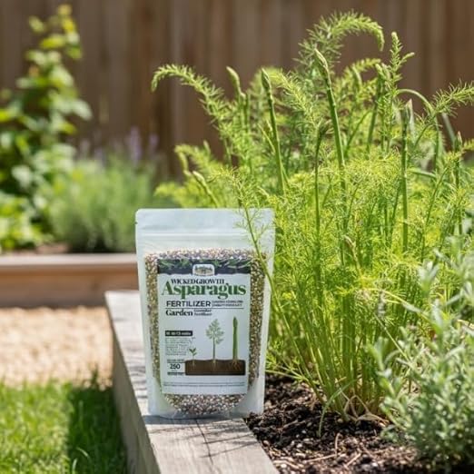 Old Cobblers Farm™ Wicked Growth Asparagus Fertilizer – Balanced Formula for Healthy Spears &amp Strong Root Growth – Supports Early Season Growth (5 lbs | 10 lbs | 15 lbs | 20 lbs) (5 lbs)