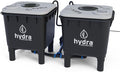Hydramax Home Deep Water Culture Hydroponic System with Pump and air circulators for Indoor Growing of Vegetables Fruits and Medicinal Herbs (2-Bucket)