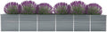 Garden Raised Bed Galvanized Steel 189x31.5x30.3 Gray