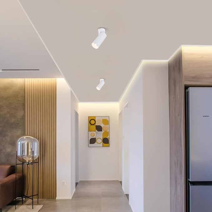 Spotlight Led Flush Mount Spotlamp Directio l Downlight Indoor Spotlights for Living Room Gallery Picture Panting Accent Lighting