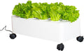 Hydroponics GardenIndoor Vertical Farming Garden Planter Smart Herb Garden with Timing Plug Automatic Watering for Home Indoor Gardening System(Without Light1 Layer)