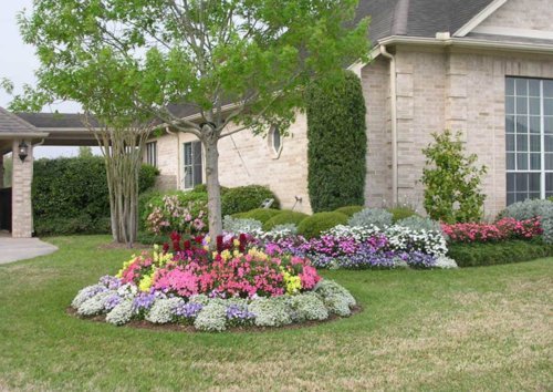 Nelson - Trees Shrubs &amp Evergreens Plant Food for In-Ground Containers &amp Patios Granular Fertilizer NutriStar 21-6-8 (15 lb.)