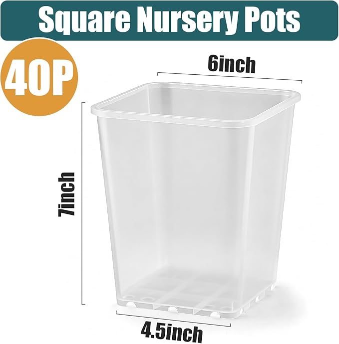 Nursery Pots 6 Inch 40 Pcs Plastic Seed Starting Pot with Drainage Holes Sturdy Seedling pots for Planting Cuttings Clear