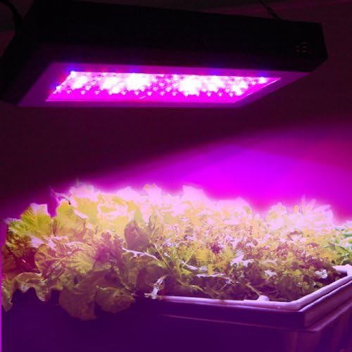 HQRP 14W 225 LED Blue + Red Plant Grow Light Panel for Growing Medical Herbs + Hanging Kit + Coaster
