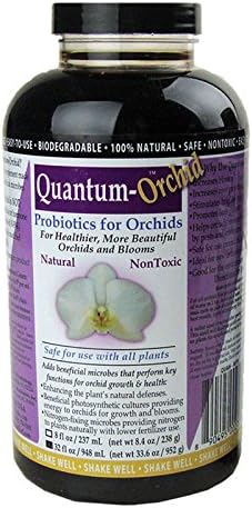 Quart - 32 Ounce Bottle
