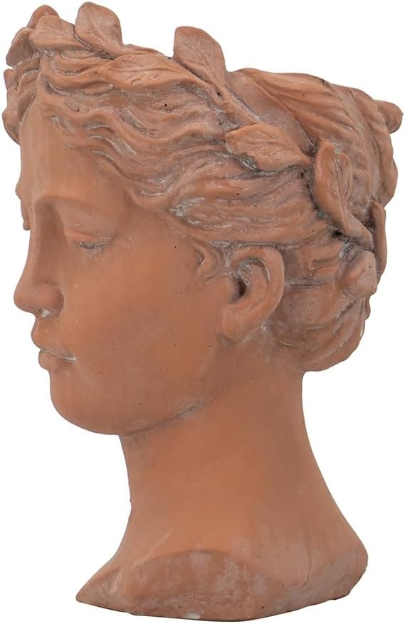 D7x11 Visage Head Bust Planter Brown