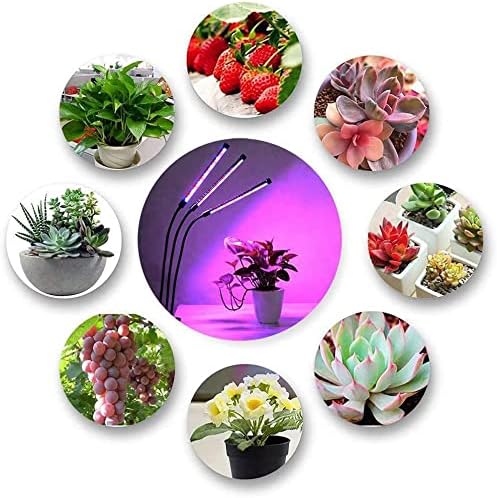 Grow Light for Indoor Plants 3 Heads Growing Lamps 3/9/12H Auto Timer Full Spectrum Planting Lights for Greenhouse Plants Flowers Veg Succulents Potted Growth Adjustable Gooseneck 3 Switch Modes