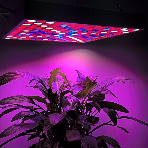 Grow Light - BANGWEIER 50Watt LED Grow Light - Red White And Blue LEDs 50000 Hour Life Span 2900 Lumen