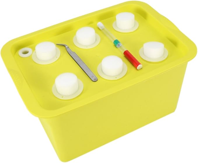 Hydroponics Grower Kit 6 Holes Plant Site Hydroponic Grow Kit 11.0x7.5x5.5inch Planting Container Indoor Outdoor Garden Cabinet Box (Green)
