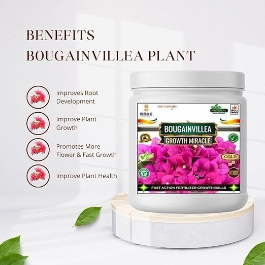 Bougainvillea Growth Miracle Fast Action Organic Granules for Rapid Growth and Heavy Flowering. (200 gm)