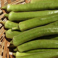 Louisiana Green Velvet Okra Seeds (300 Seed Package)