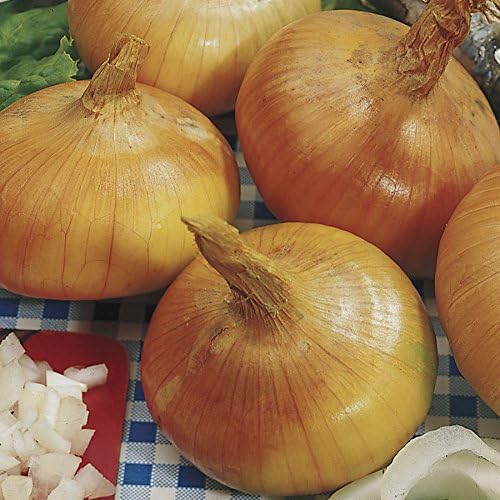 Park Seed Salsa Vegetable Seed Collection – Non-GMO Garden Kit with Tomato Cilantro Green Onion Sweet Onion &amp Salsa Pepper – Grow Fresh Homemade Salsa at Home Total of 1335 Seeds