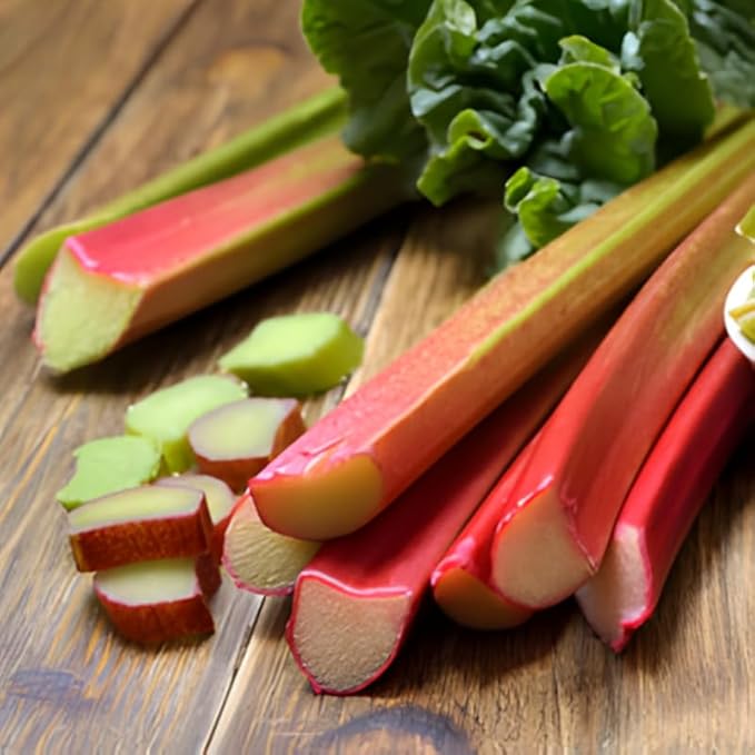 5 Rhubarb Plants Root for Planting Large Rhubarb Crown from Home- Grown 1.5 Inch Tall Hardy Rhubarb Roots with High Yields