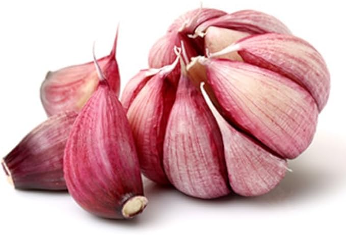 1 Lb Red Garlic Bulbs for Planting 8 Hardy Garlic Bulbs for Planting Home Vegetable Garden or Raised Beds Hardneck Garlic Bulbs