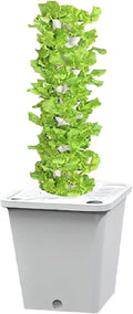 Hydroponic Grow TowerSilent Pump Garden Growing System with Water Tank Automatic Watering Hydroponic System for Herbs Fruits Vegetable(White25holes)