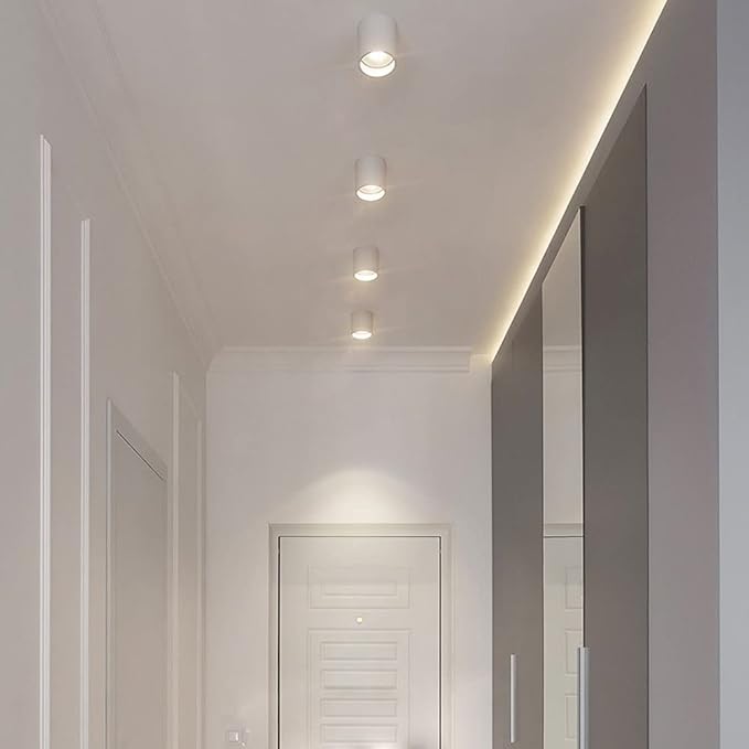 Led Mounted Spotlight 2 Packs Ceiling Downlight Cylindrical Hallway Lamp Adjustable Directio l Accent Spot Lighting Corridor Gallery Spotlights
