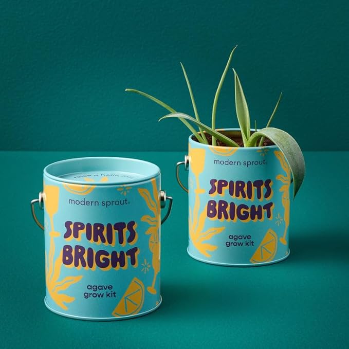 Modern Sprout Complimentary Seed Starter Grow Kits - Spruce Eucalyptus &amp Agave Seeds - Plant &amp Gardening Gifts that Grows with Love (Pack of 3)