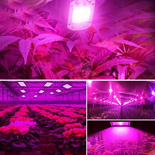 Landscape Lights 1pack LED Grow Light 100W 70W 50W Welding LED COB Chip for Plants Growing Grow Tent 220V 110V Full Spectrum LED Phyto Lamp LED Street Lamp