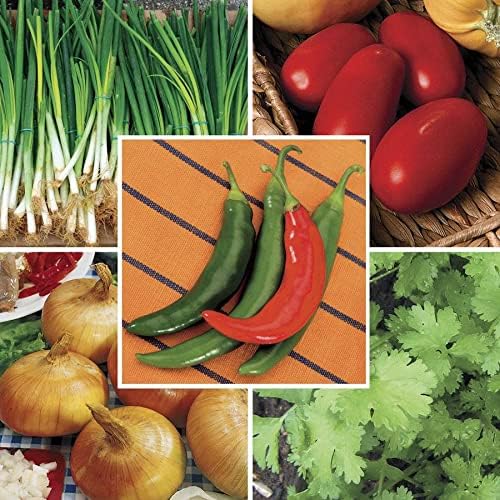 Park Seed Salsa Vegetable Seed Collection – Non-GMO Garden Kit with Tomato Cilantro Green Onion Sweet Onion &amp Salsa Pepper – Grow Fresh Homemade Salsa at Home Total of 1335 Seeds