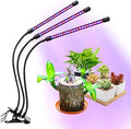 Grow Light for Indoor Plants 3 Heads Growing Lamps 3/9/12H Auto Timer Full Spectrum Planting Lights for Greenhouse Plants Flowers Veg Succulents Potted Growth Adjustable Gooseneck 3 Switch Modes
