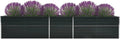SKM Garden Raised Bed Garden Raised Bed Galvanized Steel 157.5x31.5x30.3 Anthracite