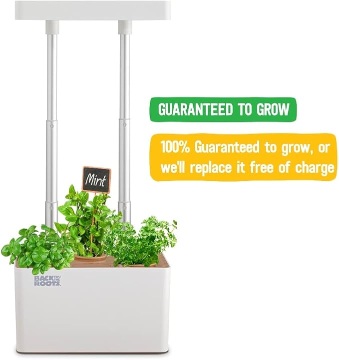 Back to the Roots v1.0 Hydroponic Grow Kit 2022 Model (Pack of 4)