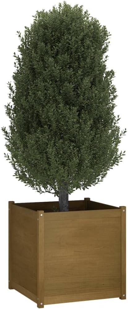 Garden Pinewood Planter Welded Wire Galvanized Steel Landscape Cage for Walls Durable Large Honey Brown