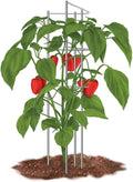 Park Seed Pepper Supports Pack of 3