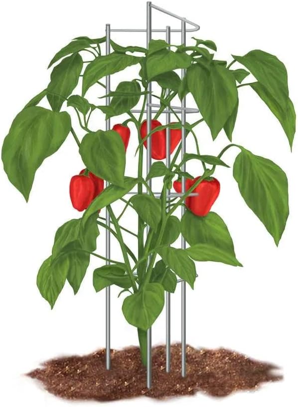 Park Seed Pepper Supports Pack of 3