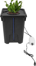 1PCS Hydroponics Growing System Hydroponic Bucket with Air Pump Hydroponic Kit for Garden Balcony Office Garage Basement (1)
